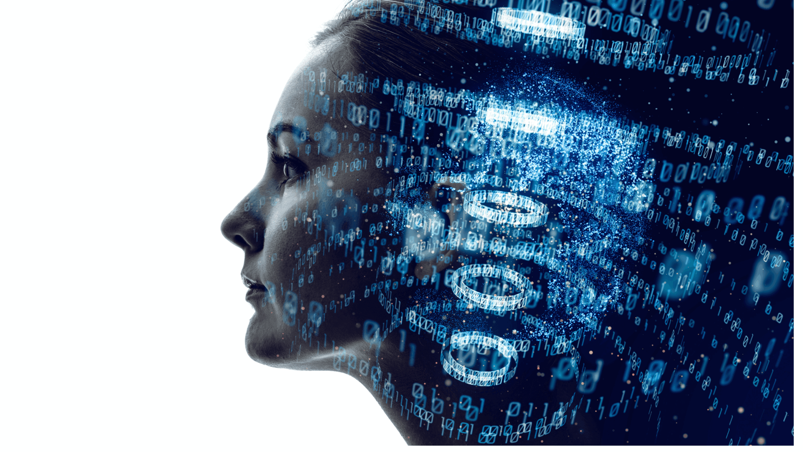 ExpertTable Simulation – In Silico Trials